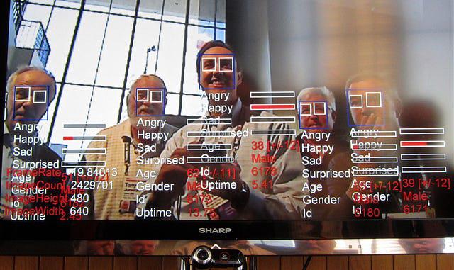 Visual practice   of antithetic  facial designation  algorithms processing a face